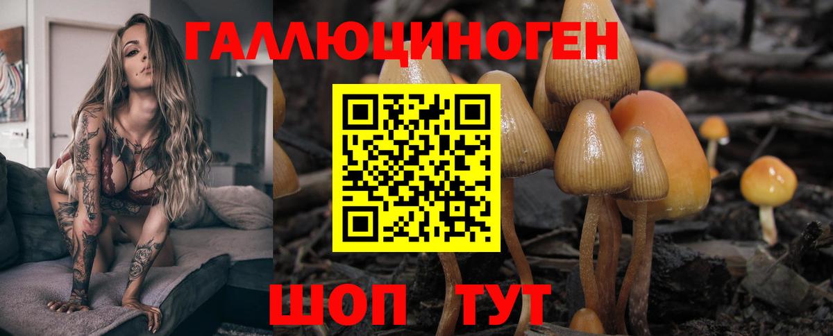 Галлюциногенные грибы GOLDEN TEACHER  Псилоцибиновые грибы мухоморы  Вход с VPN  Новосибирск 