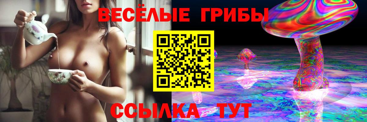 Псилоцибиновые грибы Psilocybine cubensis Новосибирск